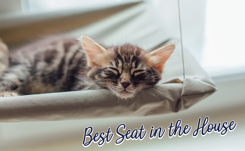 Amazon Com Pets First Pet Bed Wall Mounted Cat Lounge Seat Let Your Cat Feel The Sunshine Easy Suction Installation Everything Else Amazon Com Pets First Pet Bed Wall Mounted Cat Lounge Seat Let Your Cat Feel The Sunshine Easy Suction Installation Everything Else