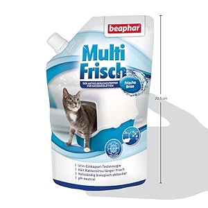 Viel frische Brise.