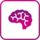Nervous System