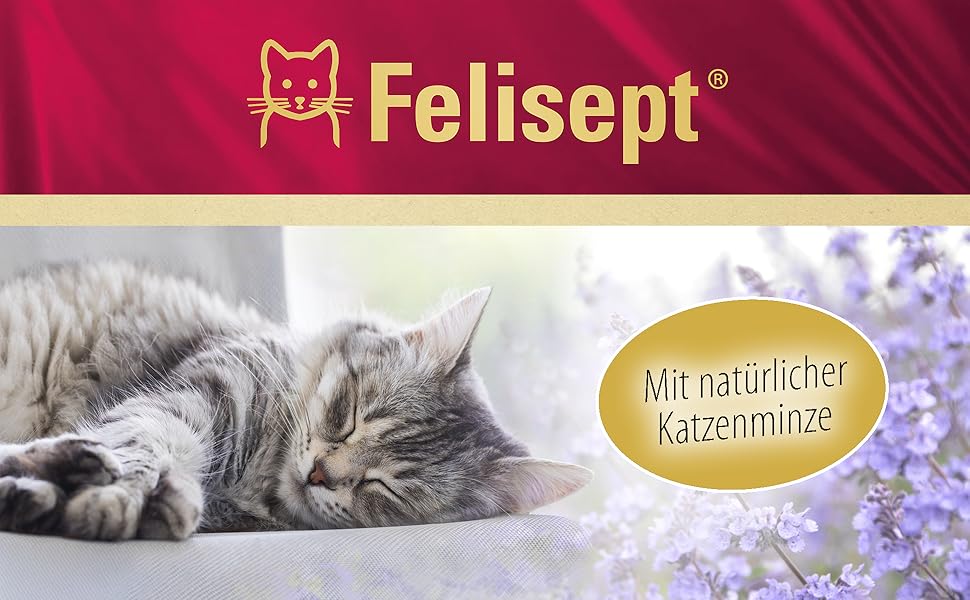 Catnip, cat relaxation, multi-cat household, family, scratching, biting, marking, natural
