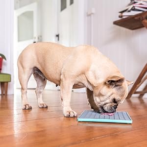 lickimat, lickmat deluxe, dog treat, dog lick pad, pet treat maker, pet treats, dog licking pad