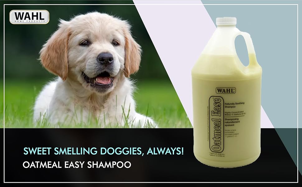 Buy Wahl Oatmeal Easy Shampoo 1 Gallon Online at Low Prices in India