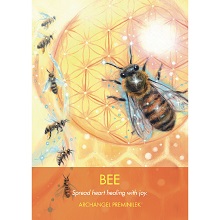 bee