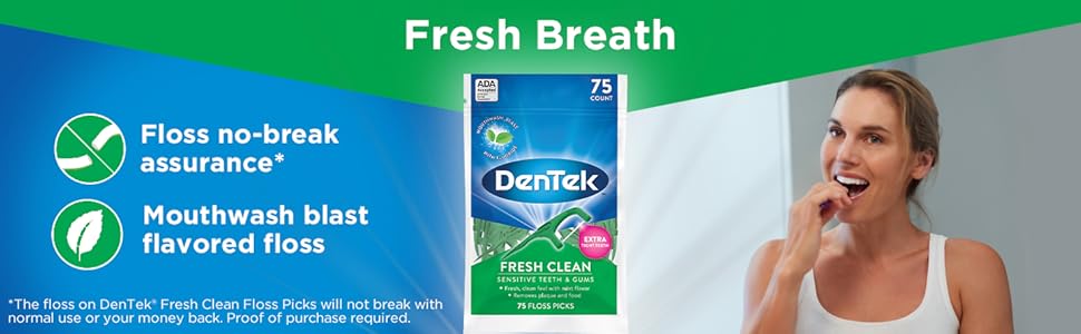 Dentek Fresh Clean Floss Picks