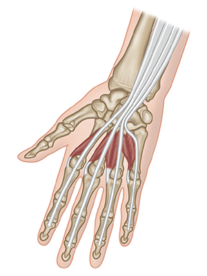 Small manufacture image 1