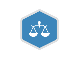 Icon Hund Gewichtskontrolle