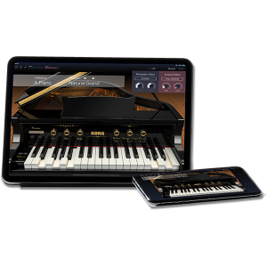 Amazon | KORG XE20 デジタル・アンサンブル・ピアノ 88鍵盤