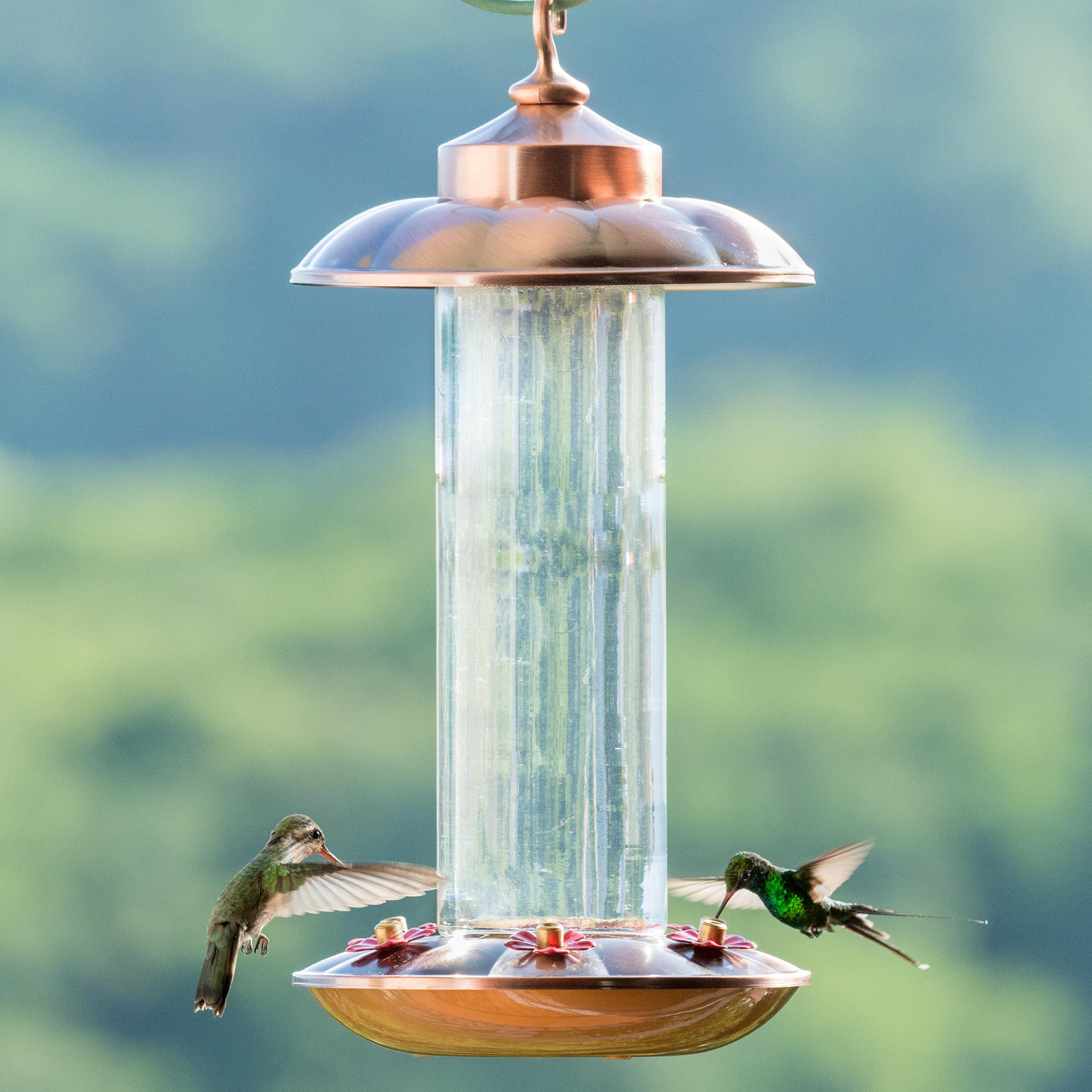 Ornate Hummingbird Feeders