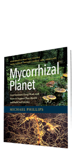 fungi, mycorrhizal, underland, overstory, trees, organic, holistic, soil health, soil, bestselling