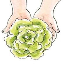 two hands holding out a head of lettuce