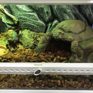 セルティ 　　CELLTER【BIG！】LLサイズ　爬虫類　シェルター セルティ CELLTER【BIG！】LLサイズ 爬虫類 シェルター テント型