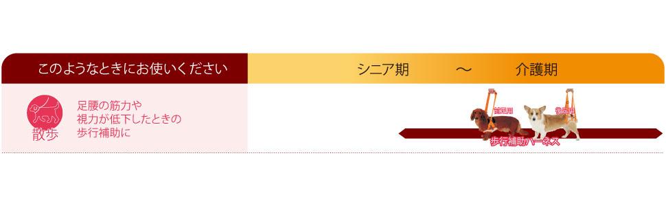 犬飼育 いぬしいく 散歩 さんぽ おさんぽ 介護 犬介護 老犬 ロウケン