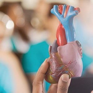 Small manufacture image 5