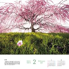 2月　地の龍