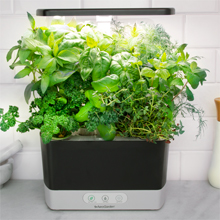 AeroGarden
