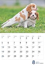 カレンダー2018 Dogs ドッグス (ヤマケイカレンダー2018) カレンダー 増田 勝正[Amazon]