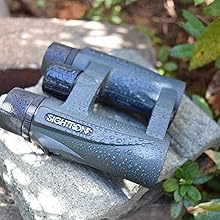 Amazon | SIGHTRON 双眼鏡 ダハプリズム 8倍32mm口径 完全防水