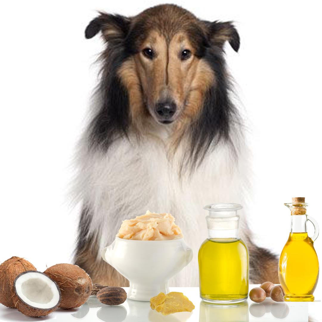 The Blissful Dog Collie Nose Butter, 0.15Ounce Pet Supplies