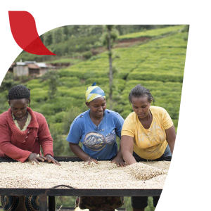 Small manufacture image 7