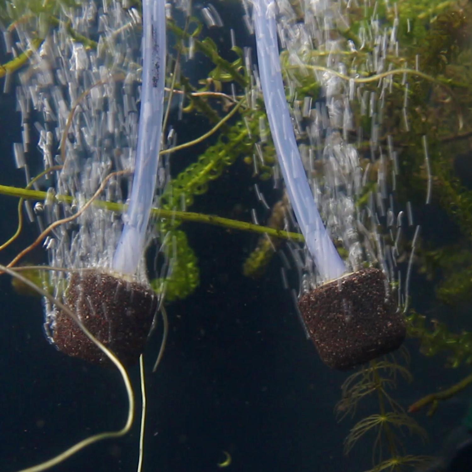 Blagdon Pond Oxygenator Kit for Standard Ponds Up to 2,000 Litre