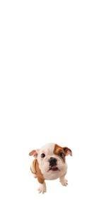 3ec1be69 d318 4bfc bc29 7b9d5f9510ba. SR150,300