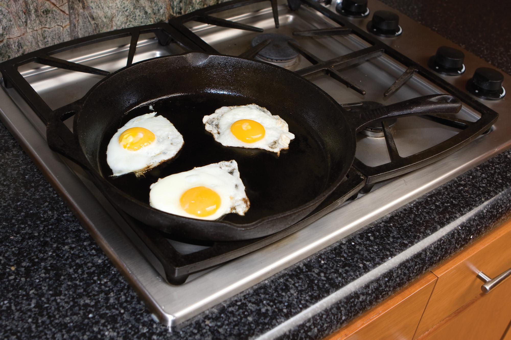 Camp Chef True PreSeasoned, Cast Iron 12" Classic Skillet Amazon.ca