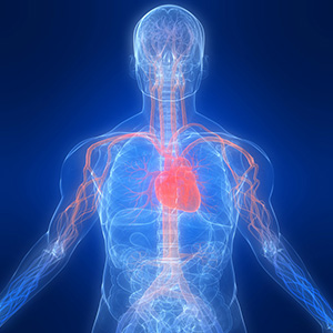 High Absorption 100% Chelated Magnesium bone heart nerve muscle health blood pressure