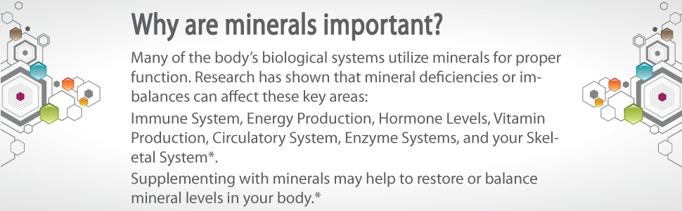 important minerals circulation immune enzymes skeletal system