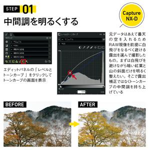 ニコン D850 完全ガイド (インプレスムック DCM MOOK) | 萩原