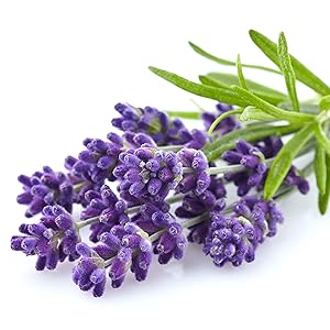 green soap tincture, humco green soap tincture, green soap with lavender oil, lavender oil soap