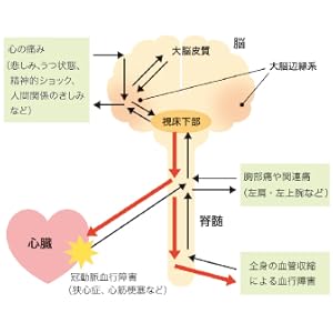 痛みをやわらげる科学 下地恒毅 痛みをやわらげる科学 / 下地 恒毅【著】 - 紀伊國屋書店ウェブ
