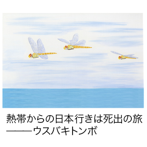 生き物の死にざま はかない命の物語 稲垣 栄洋 本 通販 Amazon