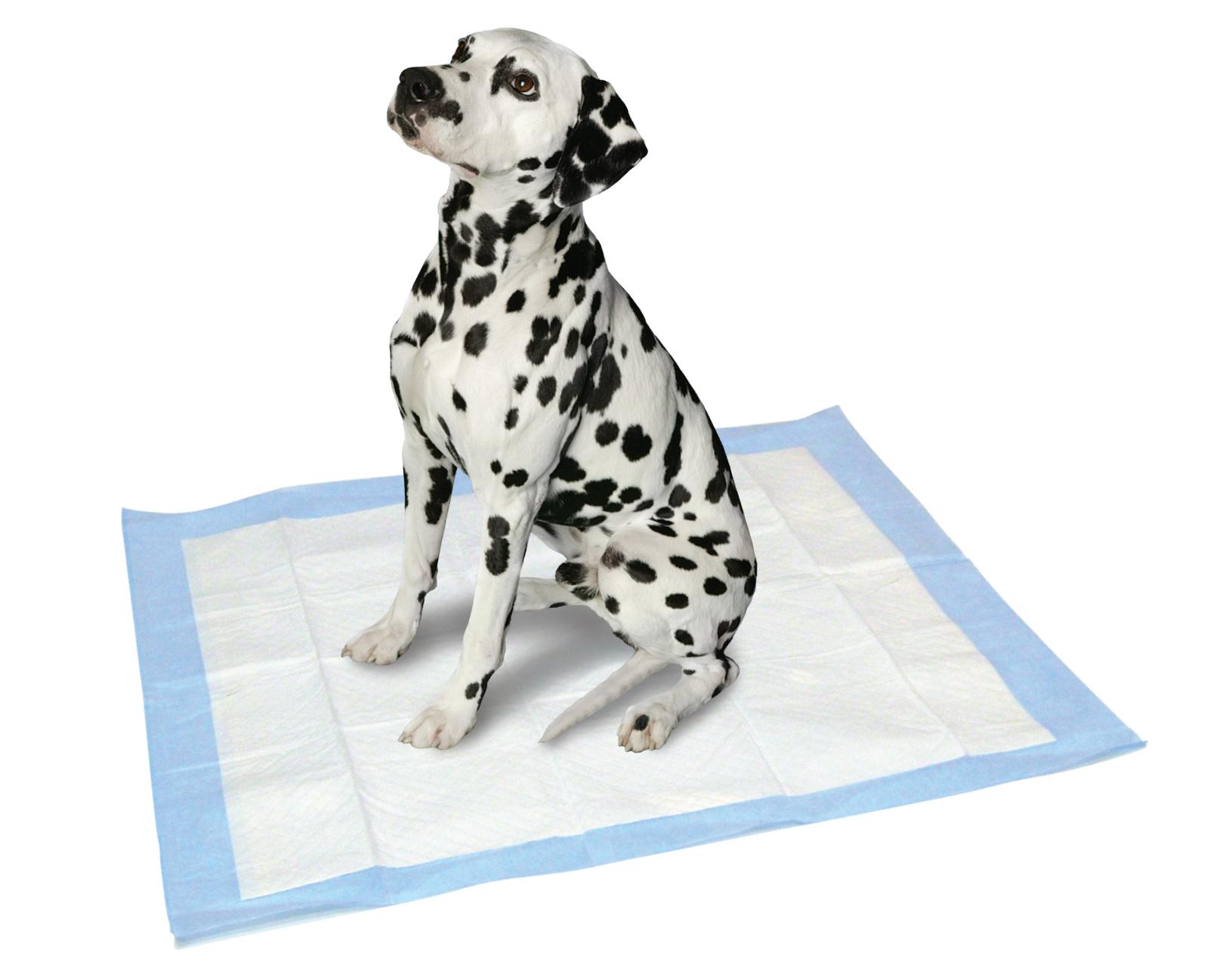 American Kennel Club Pet Training and Puppy Pads, Regular and Extra