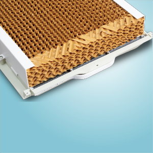High Efficient Honeycomb Pad with Anti-Microbial Property