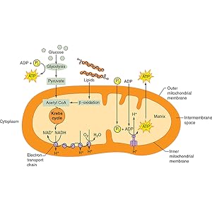 Small manufacture image 4