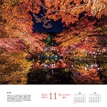 11月　秋の彩り