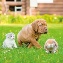 Small manufacture image 4