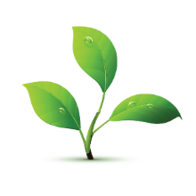 clean ingredients, anti chafe