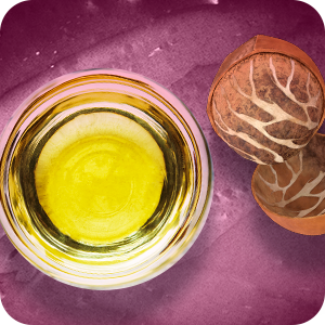 Nutrientes e Vitamina