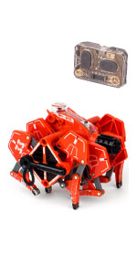 ヘックスバグ バトルタランチュラ Hexbug 新品未開封 Amazon.com: HEXBUG: HEXBUG