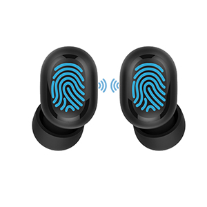 pTron Bassbuds Pro True Wireless Earbuds