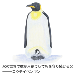 生き物の死にざま はかない命の物語 稲垣 栄洋 本 通販 Amazon
