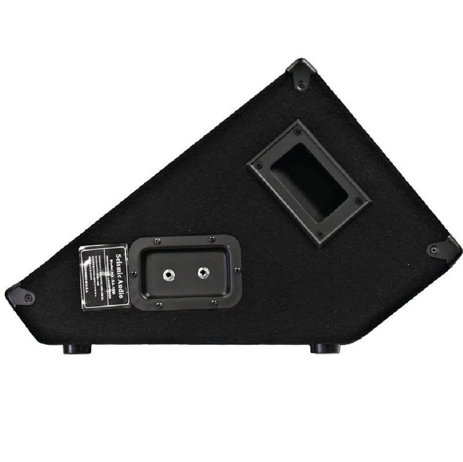 Seismic Audio Pair of 10" Wedge Style FLOOR MONITORS