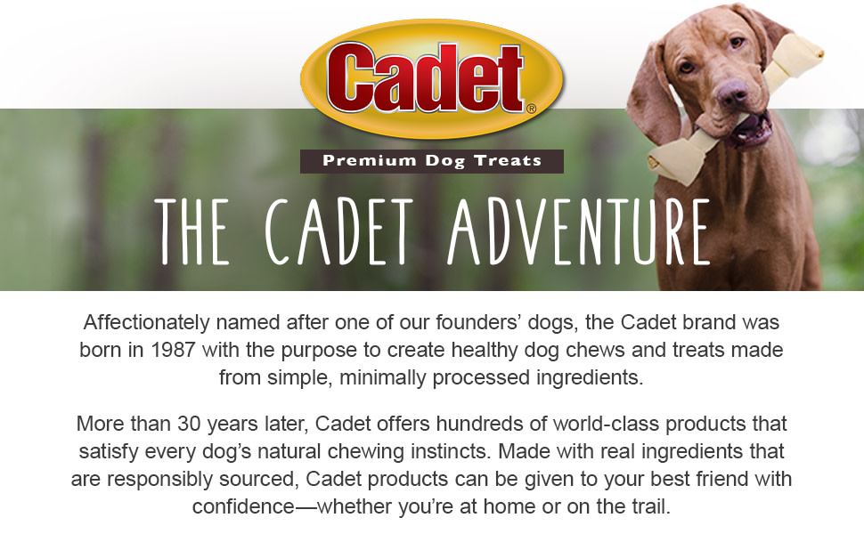 Cadet Bully Sticks Dog Treats Regular 6 oz. Everything Else