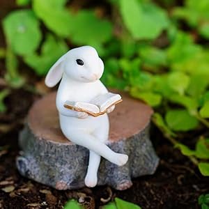 Top Collection 4390 Bunny Reading on Tree Stump