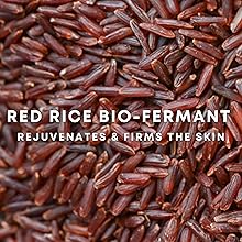 Red rice bio fermant cells