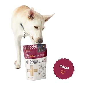 Amazon Com Dailydose Dual Benefit Dental Calming Chews For Dogs Small Dental Treats With Supplements 77131 Pet Supplies