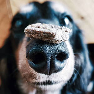 Plato Pet Treats Real Strips Made in USA Natural Real Meat Dog Treats