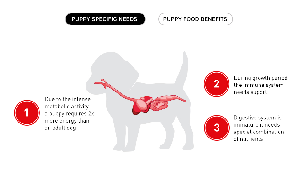 Tailor Made Nutrition For Puppy Needs Boxer Puppy - Upto 15 Months Old Tailor Made Nutrition For Puppy Needs Boxer Puppy - Upto 15 Months Old