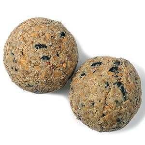 35 Meisenknödel ohne Netz 